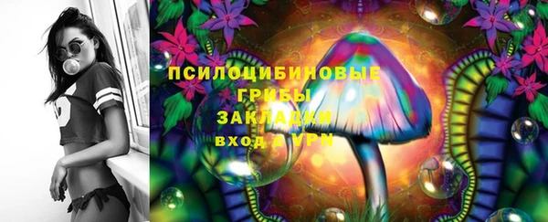 хмурый Алексеевка