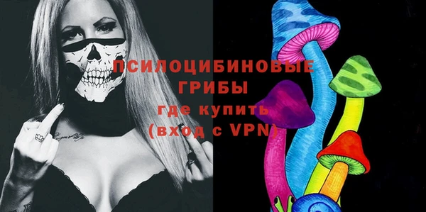 хмурый Алексеевка