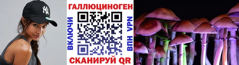 Псилоцибиновые грибы ЛСД  Боровичи 
