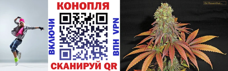 купить  цена  Боровичи  Конопля гибрид 